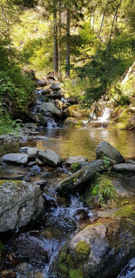 Chata Maco Липтовски-Микулаш Экстерьер фото